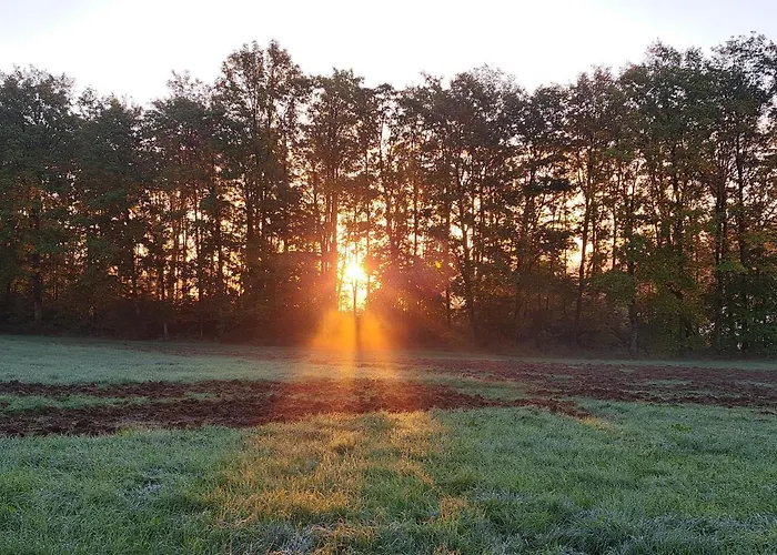 Zum Hasenbahnhof Apartament